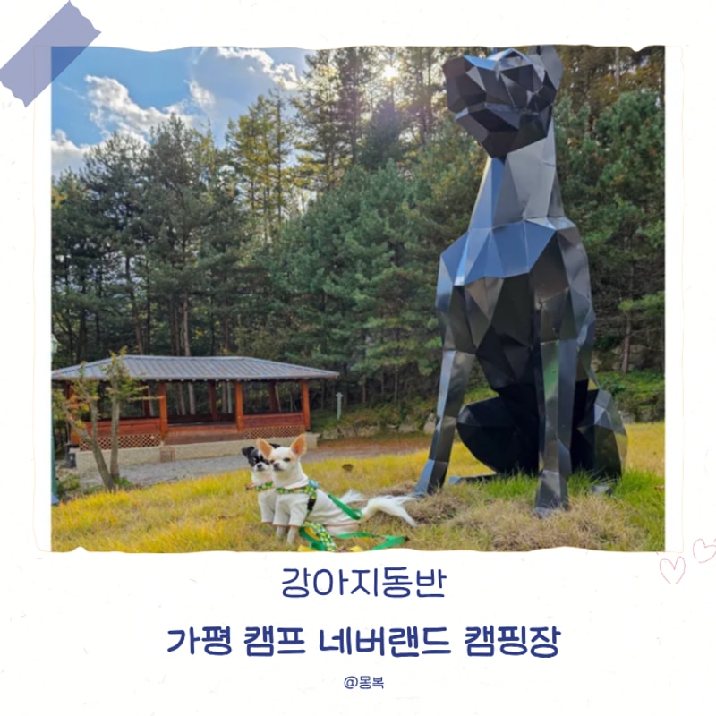 강아지동반 [ 가평 캠프 네버랜드, B4 / 2박3일] 5번째 캠핑