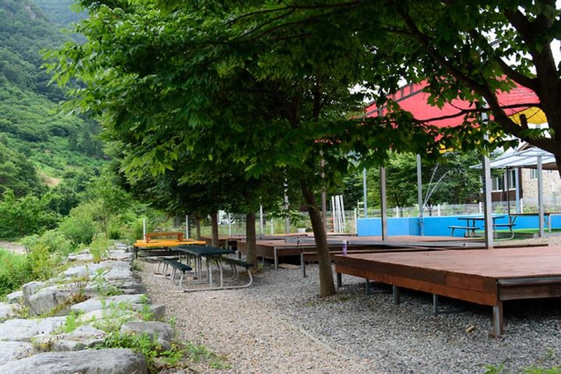 온드림캠프 대표 사진