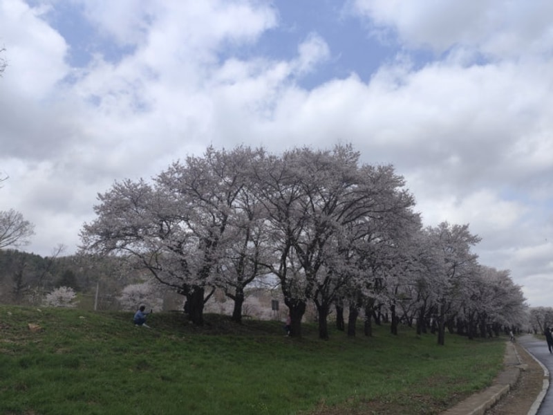 [캠핑] 탐선골 캠핑장 (가평 25년 4월) 우중캠핑