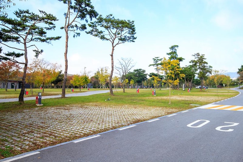 충주 목계솔밭 캠핑장 시설 사진 6