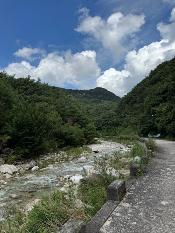도마치계곡 자연그대로 캠핑장에서