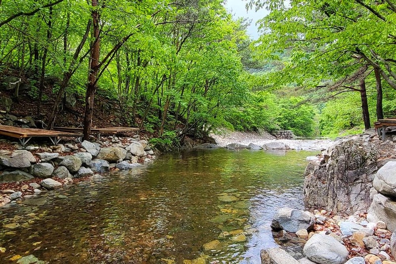 약초농원 캠핑장 시설 사진 6
