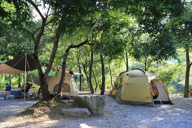 느티나무 캠핑장 대표 사진