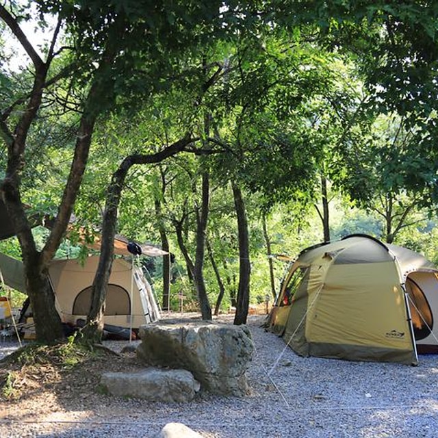 느티나무 캠핑장
