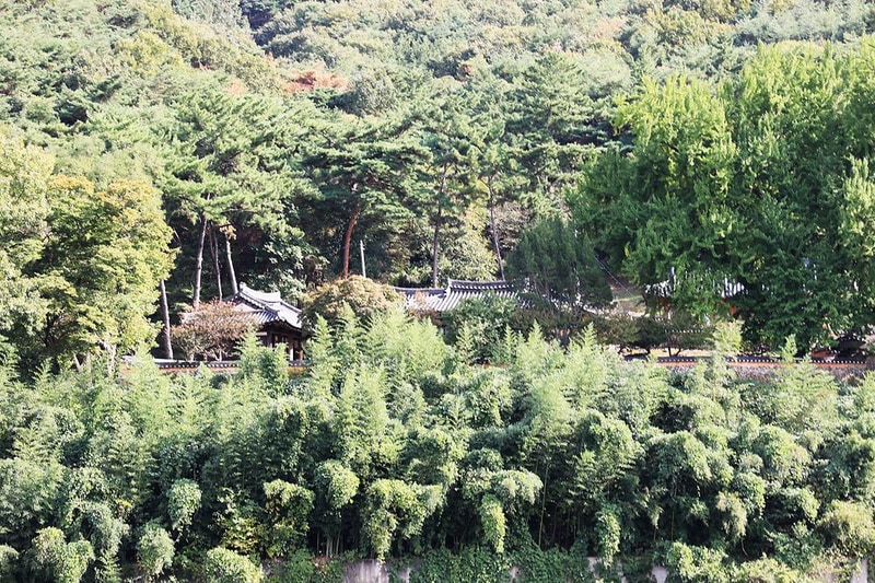 해브솔캠핑 시설 사진 4