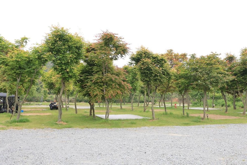 솔향기길야영장 시설 사진 7