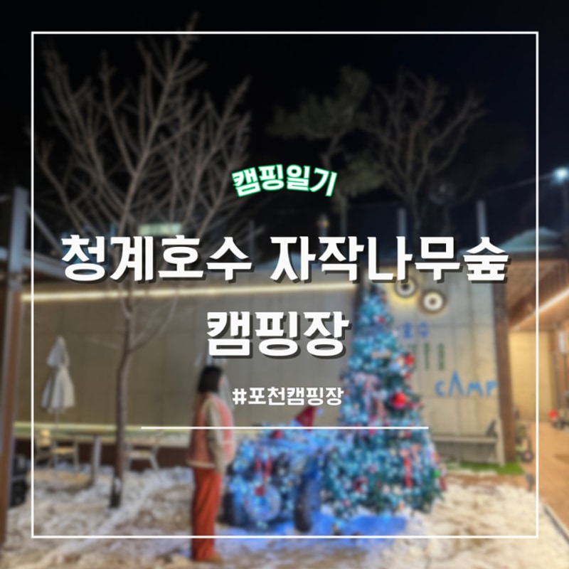 [포천] 청계호수자작나무숲캠핑장 호수 뷰 데크 7 사이트...