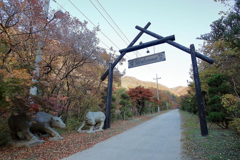 THATS CAMPING 횡성자연휴양림야영장 시설 사진 3