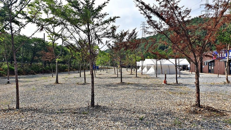 워터사이드 캠핑장 시설 사진 29