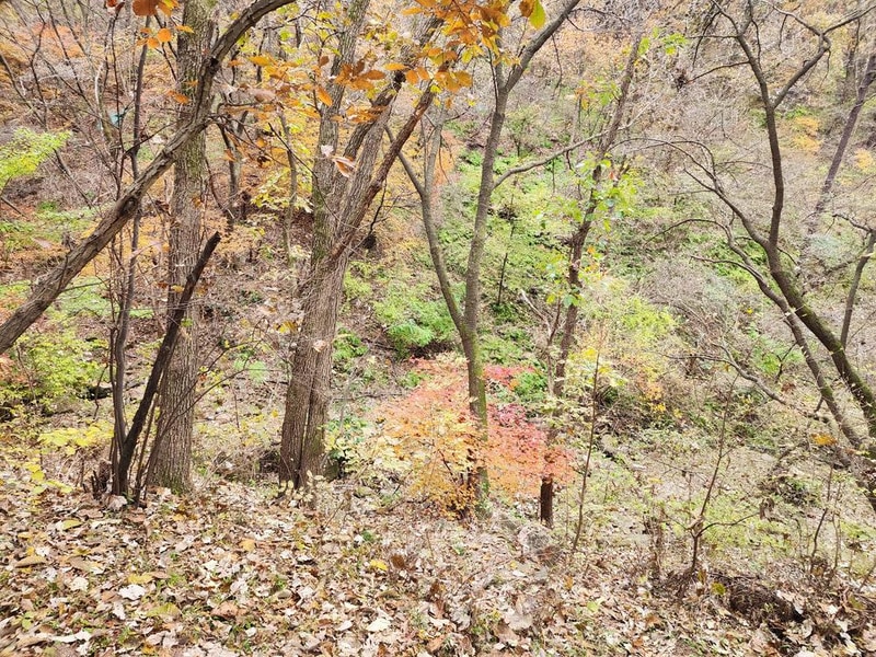 병목안캠핑장 시설 사진 28