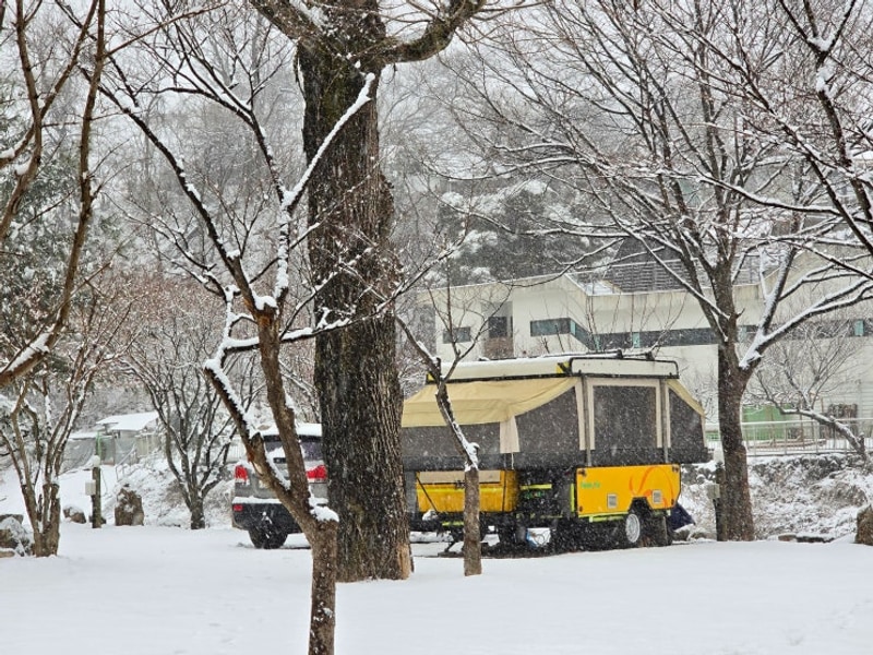 155차 - 250126 - 나마61차 - 가평 탐선골 캠핑장