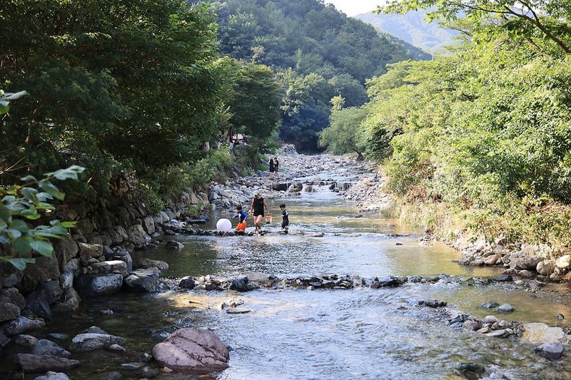 담터 금학캠핑장 시설 사진 1