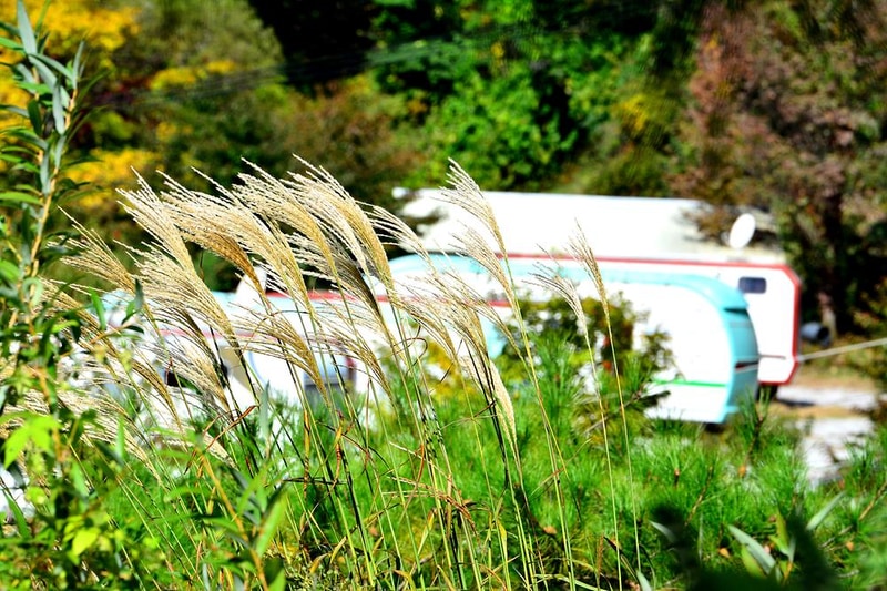 가평명지산카라반글램핑 시설 사진 8