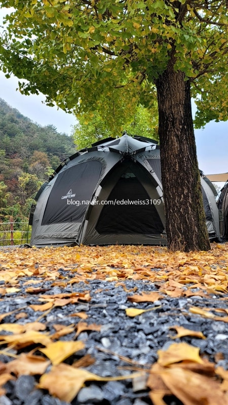 다시 찾은 평창 코끼리 마을 캠핑장