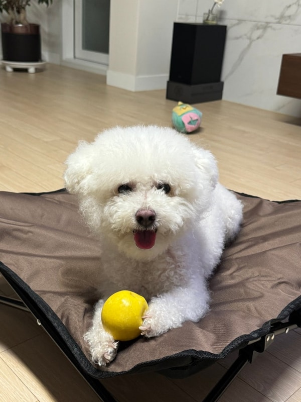 당근이랑 함께 떠난 추석 가족 캠핑-경주 캠프 포레스트...