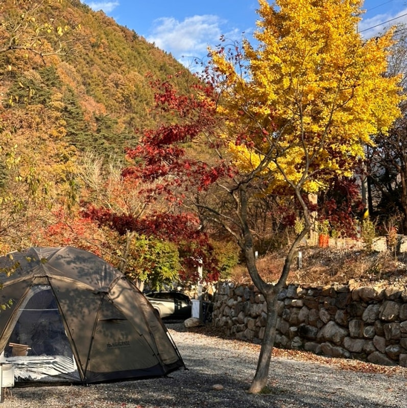 충북 제천 개별화장실 오토캠핑장 월악아지트 캠핑장 추천