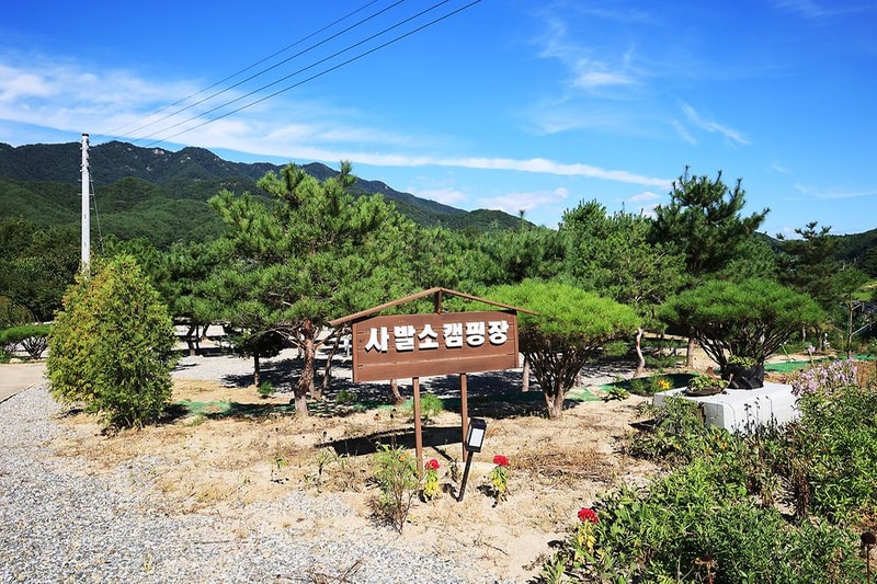 사발소캠핑장 시설 사진 4