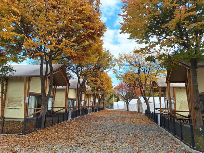 하이몽글램핑&캠핑장 대표 사진