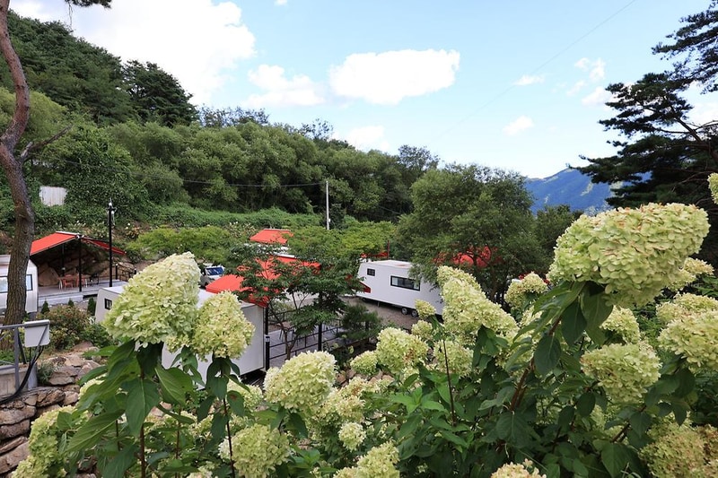 솔솔리조트 시설 사진 11