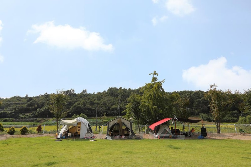 피플앤독 힐링캠핑장 시설 사진 2