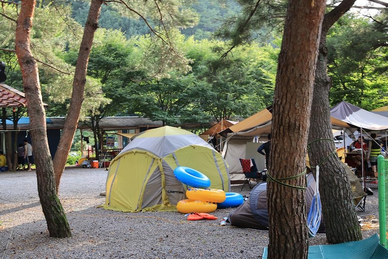 내리계곡 솔밭캠핑장 시설 사진 21