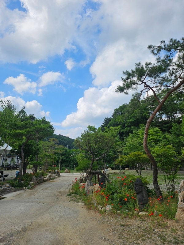 [가평 탐선골캠핑장] 숲속 하루, 조용한 계곡 캠핑장