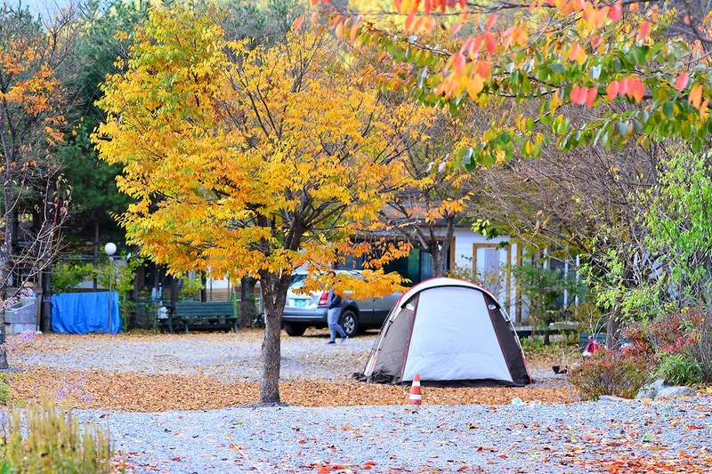 들꽃여울캠핑장 시설 사진 18