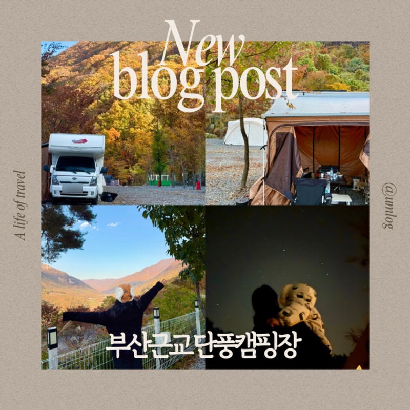 경남 부산근교 단풍 캠핑장 밀양캠프밸리관광농원 내돈내산...