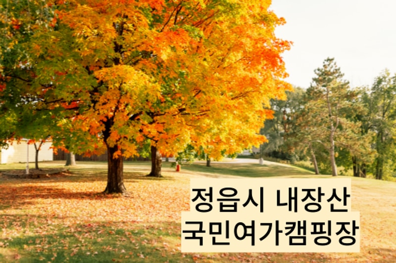 내장산국민여가캠핑장 예약방법 _ 25년 버전
