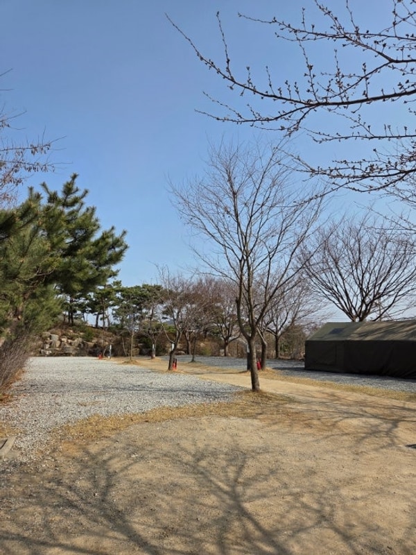 #23 4월 첫째주 벚꽃없는 벚꽃캠핑 강화 문라이트캠핑장...