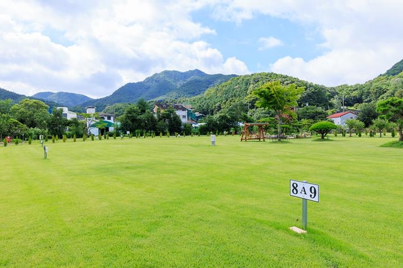 동학사힐링캠핑장 대표 사진