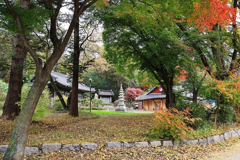 일영Star캠핑장 시설 사진 13