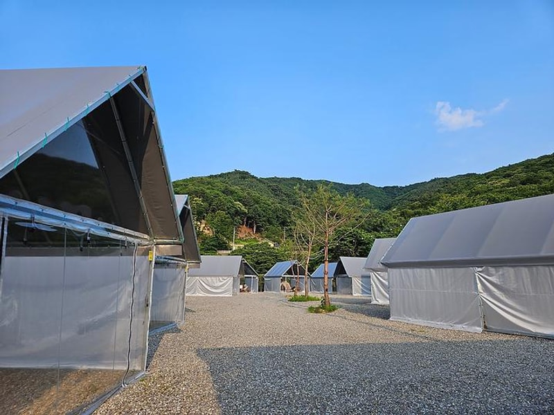 한알캠핑장 대표 사진