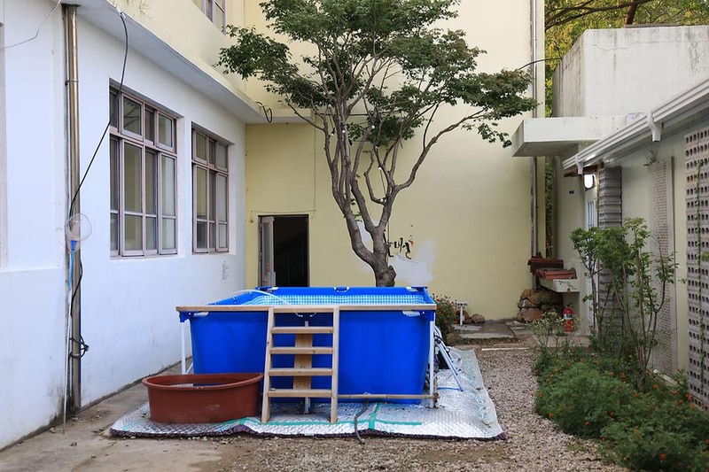 버드하우스 캠핑장 시설 사진 46