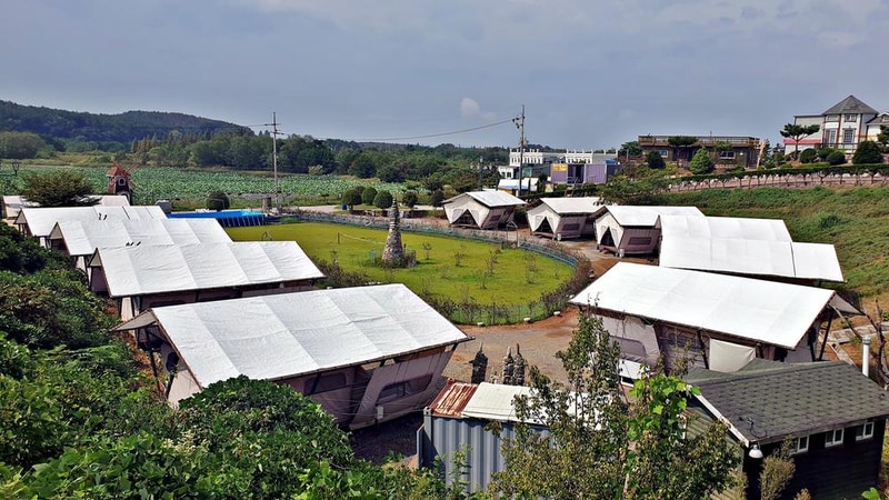 태안 안면도 비비애견동반캠핑장 시설 사진 34