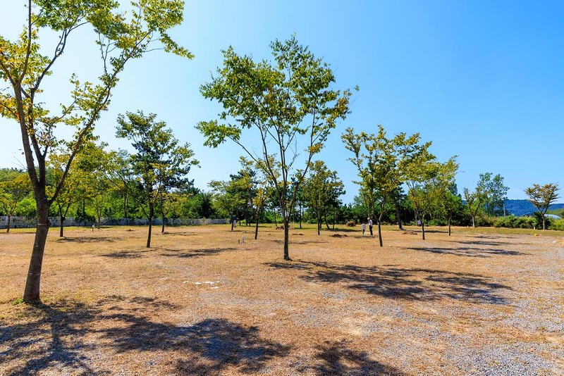 태안노을과바다캠핑앤글램핑 시설 사진 4