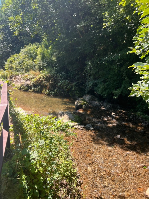 [홍천 반딧불캠핑장 방문기]... 계곡과 함께한 홍천 반딧불캠핑장!