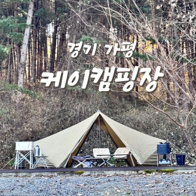 케이캠핑장 명당 A5 독립사이트 강아지 동반 (제인아츠 기기1)