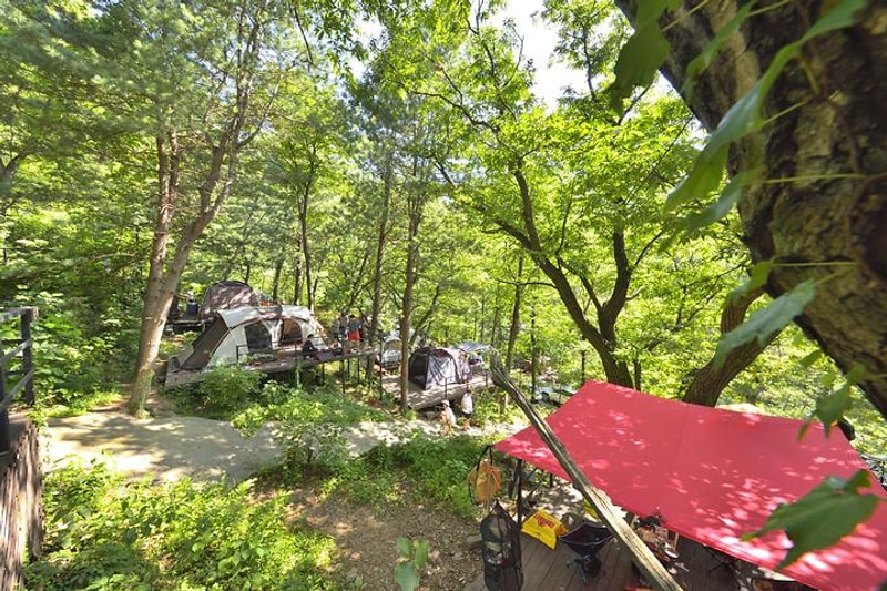 호명산 캠프 대표 사진