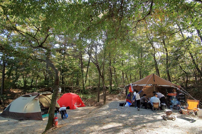 호수산장관광농원 시설 사진 2