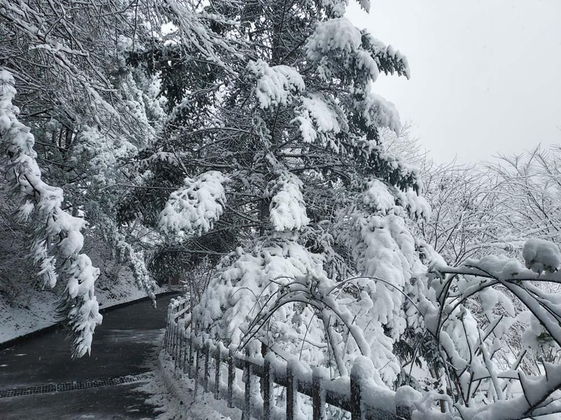 횡성산울림오토캠핑장 시설 사진 17