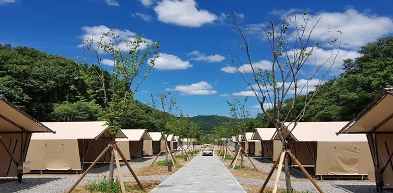 더포레스트 연지곤지점 대표 사진