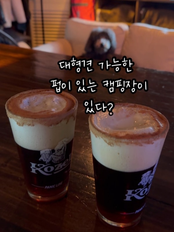 대형견도 가능한 애견동반 캠핑장 ‘여주 캠핑주막’ 후기 ෆ