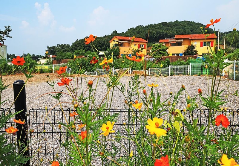 디엠지라운지(DMZ LOUNGE) 시설 사진 5