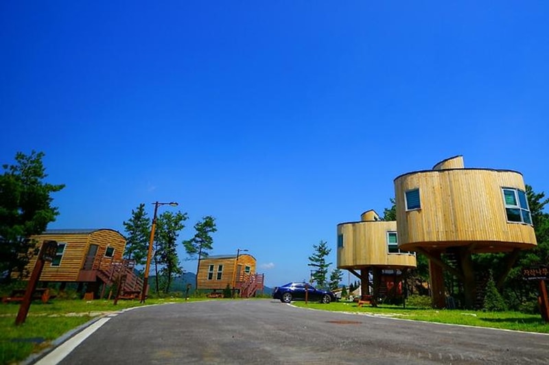 무주 향로산 자연휴양림 대표 사진