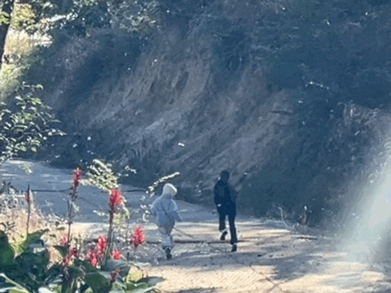 [여주]애견동반 오토캠핑장: 캠퍼디2박3일 기록(+정보)