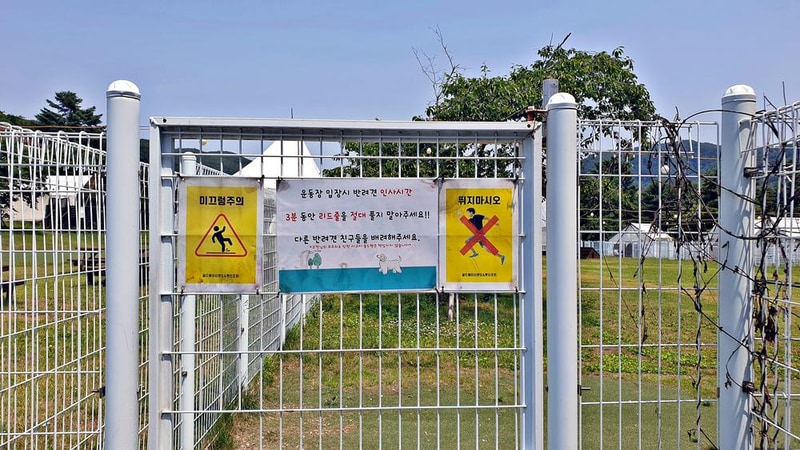 골드펫리조트 시설 사진 2