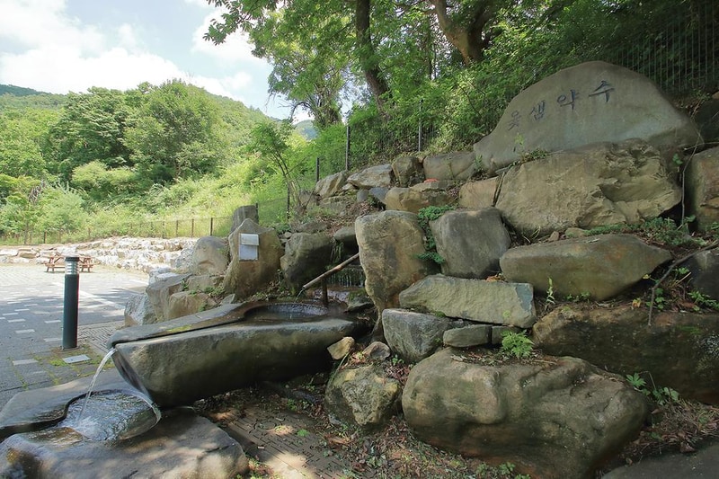 좌구산오토캠핑장 시설 사진 14