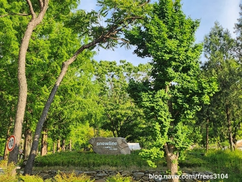 어쩌다 캠핑 - 예산 스노우라인캠핑빌리지