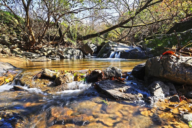 다올숲 시설 사진 7